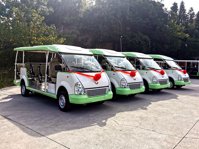 贵州大学4辆14座燃油观光车
